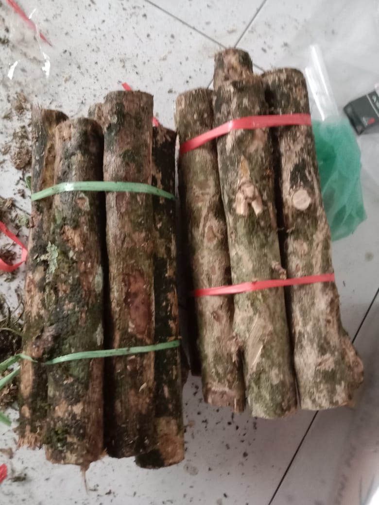 Jual Kayu Bakar (kopi) Asli CV ABRA